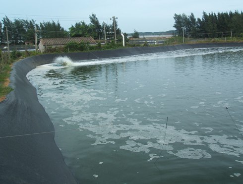污水池防滲膜